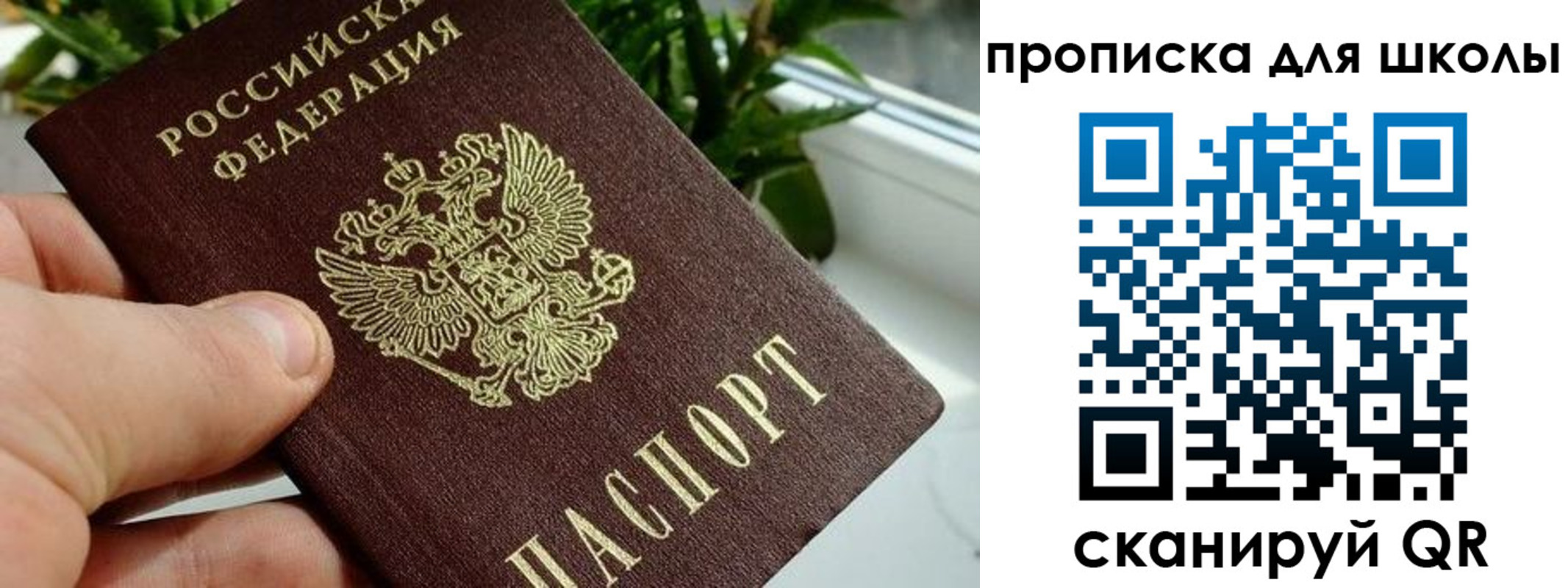 регистрация для дет. сада в Петропавловске-Камчатском